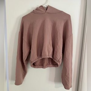 Aritzia Cropped Hoodie
